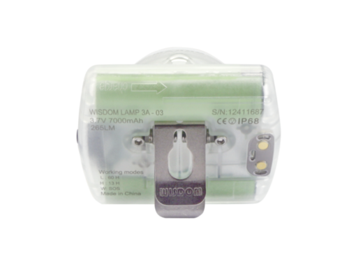 Wisdom cordless lamp clip - Perfect Image